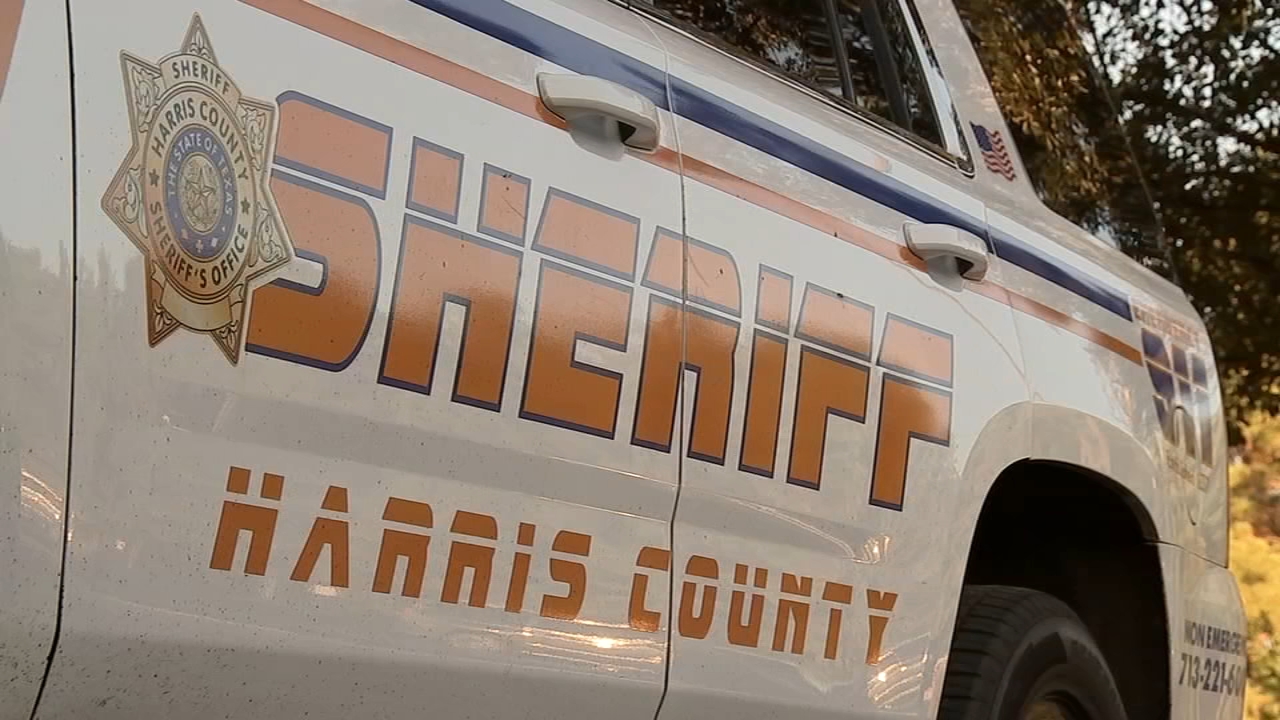 Harris County assault suspect shot by DPS trooper after chase into Leon County, authorities say
