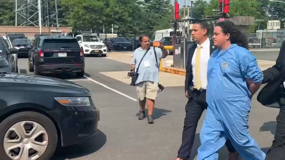 New York elementary school music teacher charged in disturbing murder of sister-in-law